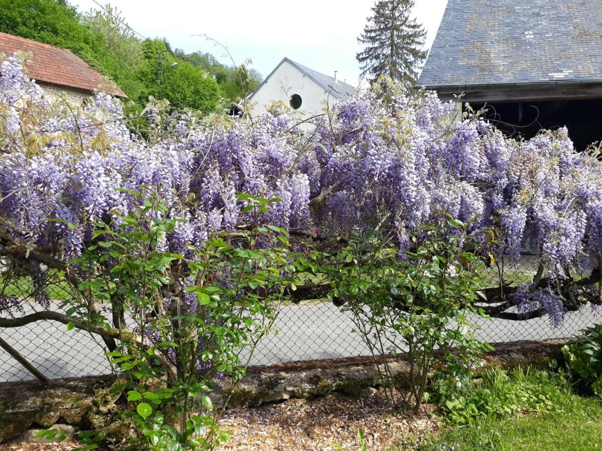 Village De Vie Saint-Vaury Exterior foto
